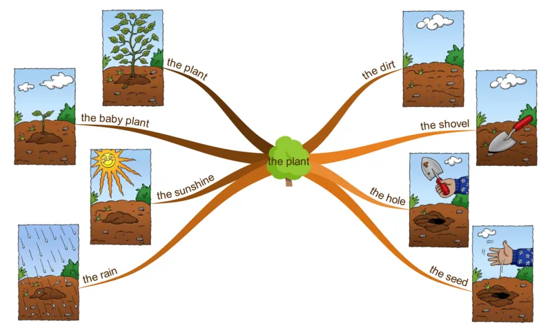 theplant_《小学思维导图》_思维导图语数英第二套_英语_思维导图_思维导图RAZAA