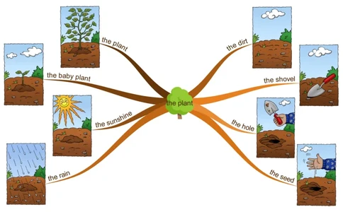 theplant_《小学思维导图》_思维导图语数英第二套_英语_思维导图_思维导图RAZAA