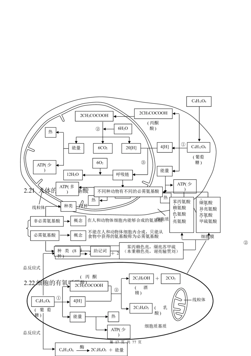 （超详）高中生物知识点归纳汇总_小初高知识点归纳汇总