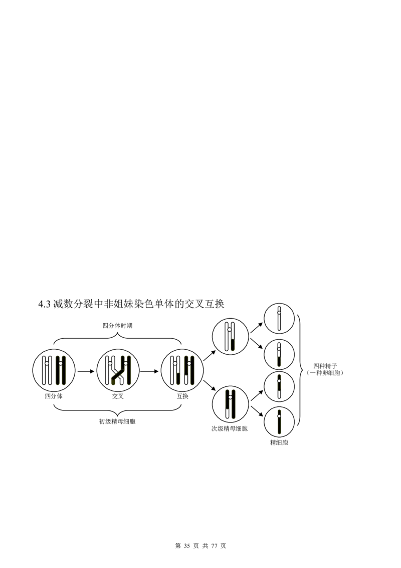 （超详）高中生物知识点归纳汇总_小初高知识点归纳汇总