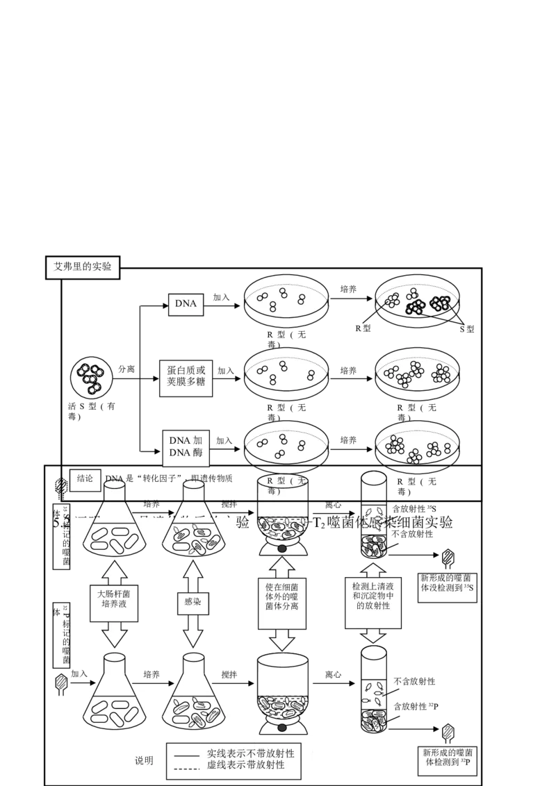 （超详）高中生物知识点归纳汇总_小初高知识点归纳汇总