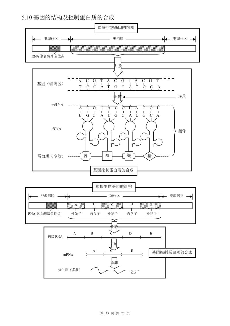 （超详）高中生物知识点归纳汇总_小初高知识点归纳汇总