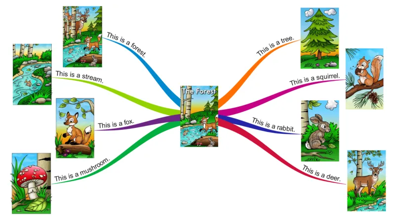 theforest_《小学思维导图》_思维导图语数英第二套_英语_思维导图_思维导图RAZA