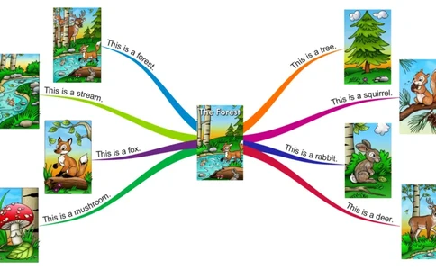 theforest_《小学思维导图》_思维导图语数英第二套_英语_思维导图_思维导图RAZA