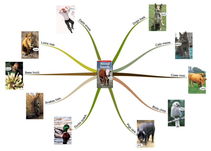 animalssounds_《小学思维导图》_思维导图语数英第二套_英语_思维导图_思维导图RAZB