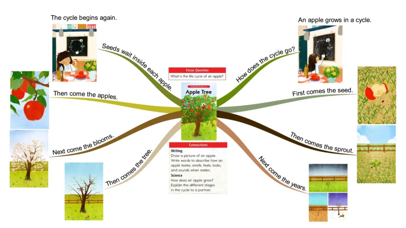 appletree_《小学思维导图》_思维导图语数英第二套_英语_思维导图_思维导图RAZC
