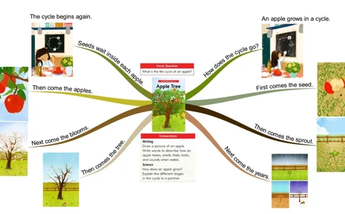 appletree_《小学思维导图》_思维导图语数英第二套_英语_思维导图_思维导图RAZC