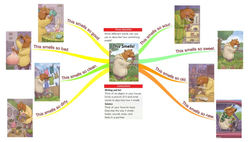 thissmells_《小学思维导图》_思维导图语数英第二套_英语_思维导图_思维导图RAZA