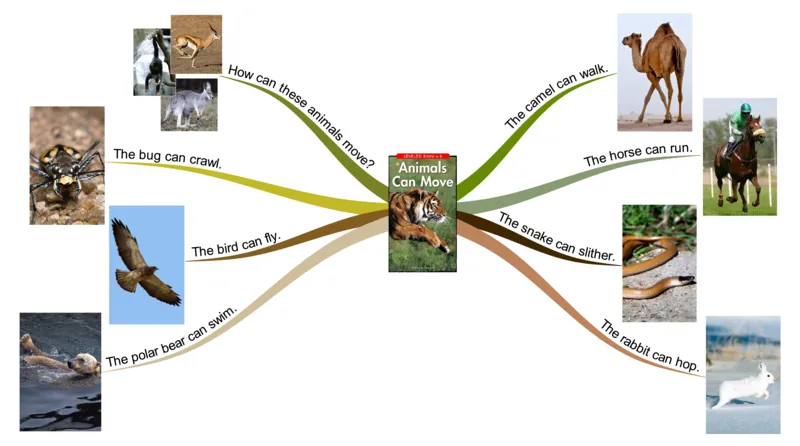 animalscanmove_《小学思维导图》_思维导图语数英第二套_英语_思维导图_思维导图RAZB