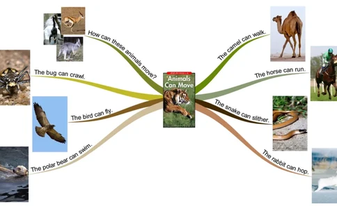 animalscanmove_《小学思维导图》_思维导图语数英第二套_英语_思维导图_思维导图RAZB