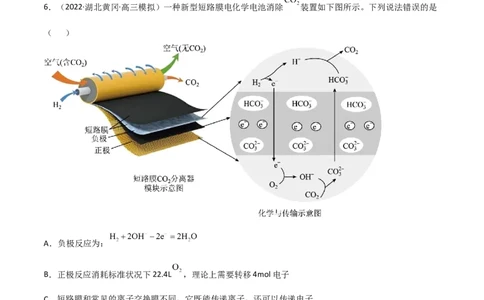 高频考点23原电池的工作原理-2023年高考化学二轮复习高频考点51练（解析版）_05高考化学_新高考复习资料_2023年新高考资料_二轮复习_2023年高考化学二轮复习高频考点51练292724123