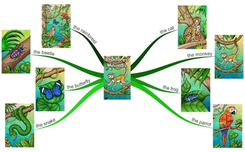 rainforestanimals_《小学思维导图》_思维导图语数英第二套_英语_思维导图_思维导图RAZAA