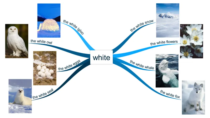 white_《小学思维导图》_思维导图语数英第二套_英语_思维导图_思维导图RAZAA