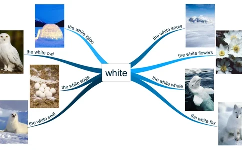 white_《小学思维导图》_思维导图语数英第二套_英语_思维导图_思维导图RAZAA