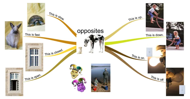 opposites_《小学思维导图》_思维导图语数英第二套_英语_思维导图_思维导图RAZA