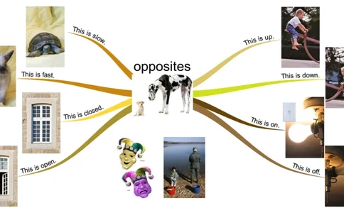 opposites_《小学思维导图》_思维导图语数英第二套_英语_思维导图_思维导图RAZA