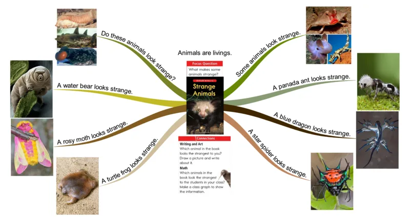 strangeanimals_《小学思维导图》_思维导图语数英第二套_英语_思维导图_思维导图RAZC