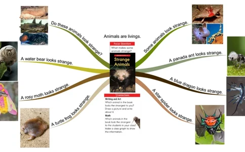 strangeanimals_《小学思维导图》_思维导图语数英第二套_英语_思维导图_思维导图RAZC