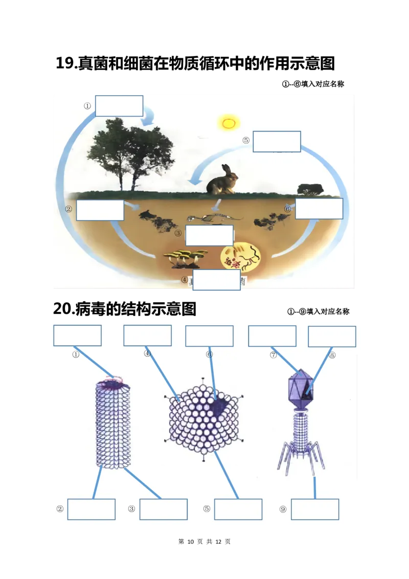 24年人教版八上生物20个重点图（附答案）_24秋《初中各科知识点梳理》_2024秋《名师总结》知识点789年级全科_24秋《名师总结》知识点八年级全科