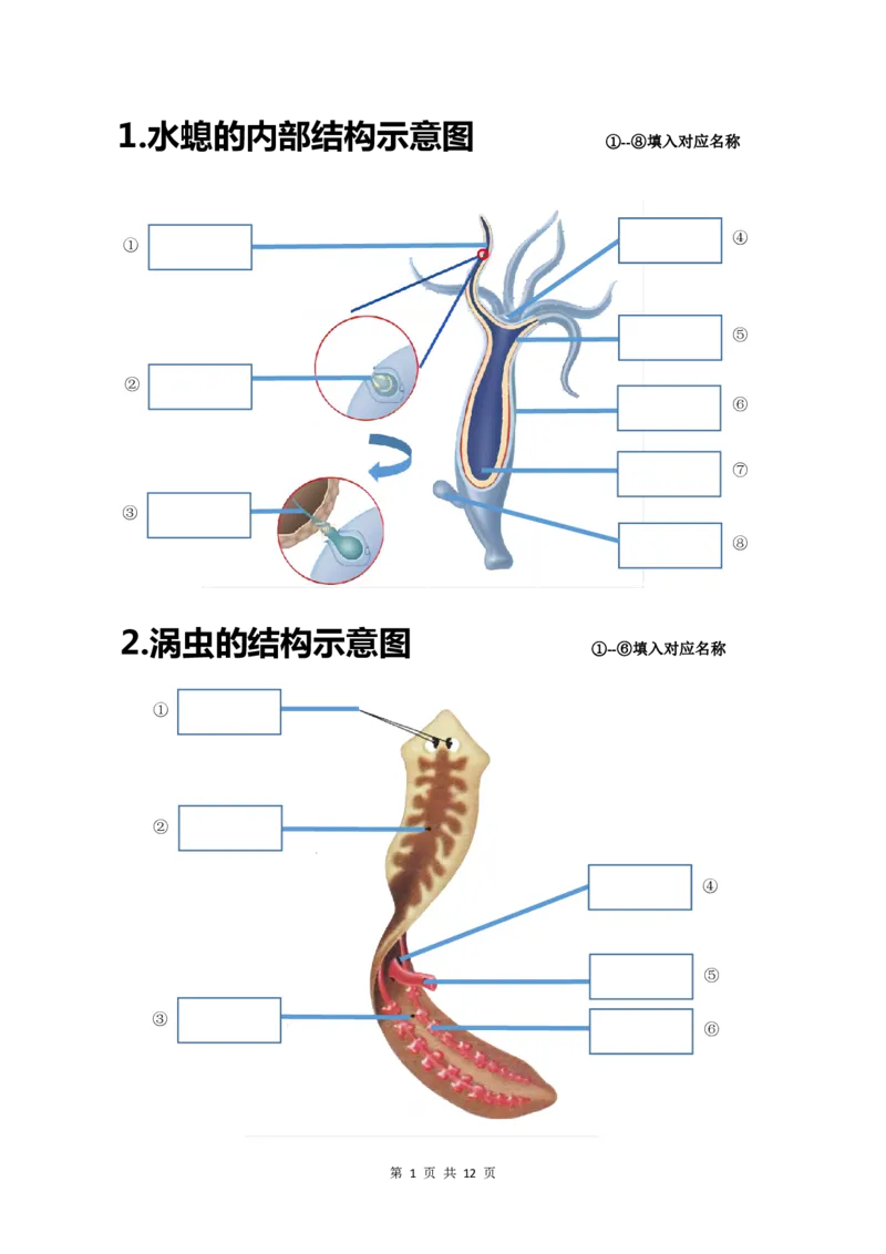 24年人教版八上生物20个重点图（附答案）_24秋《初中各科知识点梳理》_2024秋《名师总结》知识点789年级全科_24秋《名师总结》知识点八年级全科