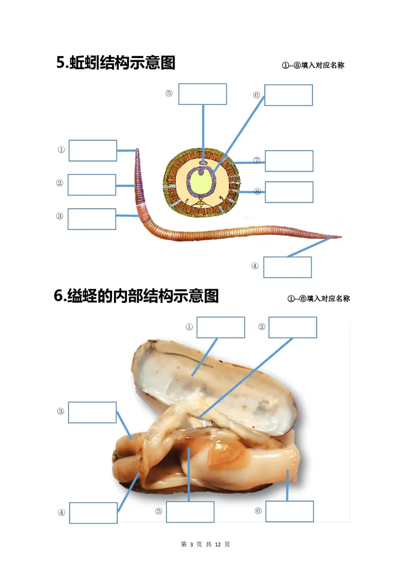 24年人教版八上生物20个重点图（附答案）_24秋《初中各科知识点梳理》_2024秋《名师总结》知识点789年级全科_24秋《名师总结》知识点八年级全科