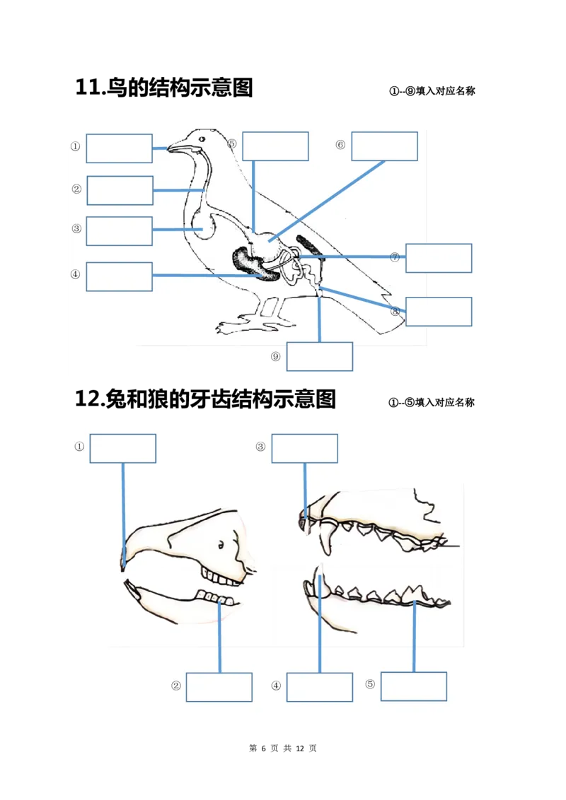 24年人教版八上生物20个重点图（附答案）_24秋《初中各科知识点梳理》_2024秋《名师总结》知识点789年级全科_24秋《名师总结》知识点八年级全科