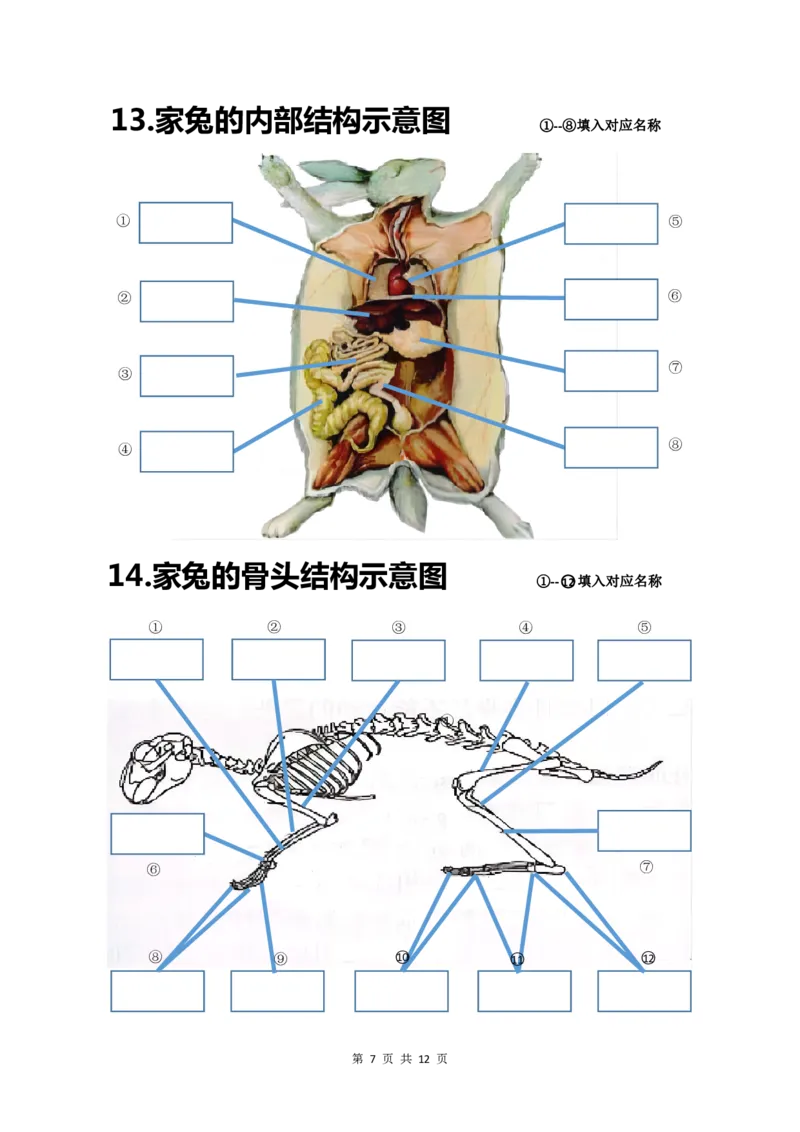 24年人教版八上生物20个重点图（附答案）_24秋《初中各科知识点梳理》_2024秋《名师总结》知识点789年级全科_24秋《名师总结》知识点八年级全科