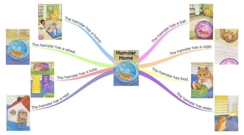 hamsterhome_《小学思维导图》_思维导图语数英第二套_英语_思维导图_思维导图RAZA