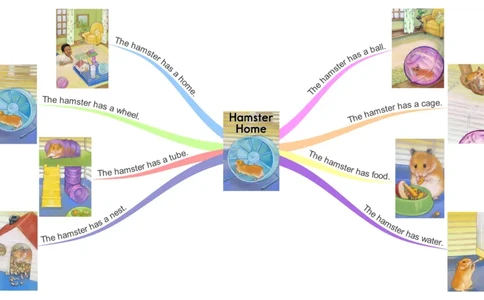 hamsterhome_《小学思维导图》_思维导图语数英第二套_英语_思维导图_思维导图RAZA