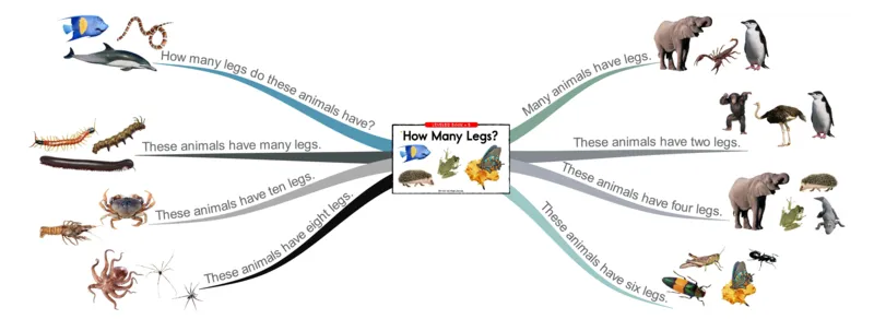 howmanylegs_《小学思维导图》_思维导图语数英第二套_英语_思维导图_思维导图RAZB