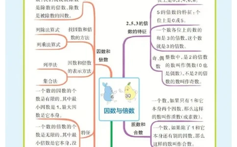 5年级下册数学思维导图（人教版）_《小学思维导图》_思维导图语数英第二套_数学_小学数学1-6年级下册《单元知识梳理思维导图》