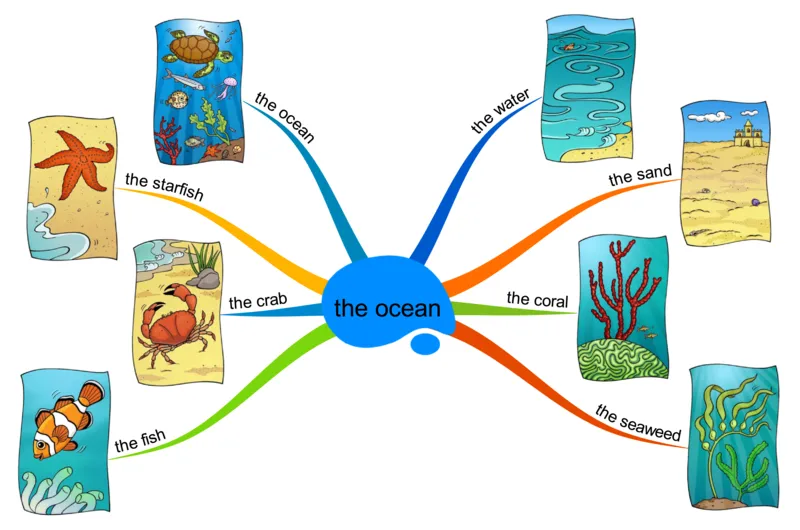 theocean_《小学思维导图》_思维导图语数英第二套_英语_思维导图_思维导图RAZAA