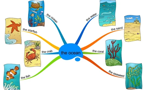 theocean_《小学思维导图》_思维导图语数英第二套_英语_思维导图_思维导图RAZAA