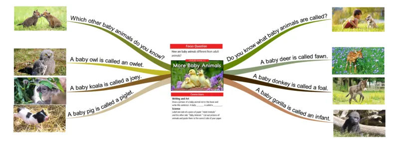 morebabyanimals_《小学思维导图》_思维导图语数英第二套_英语_思维导图_思维导图RAZC