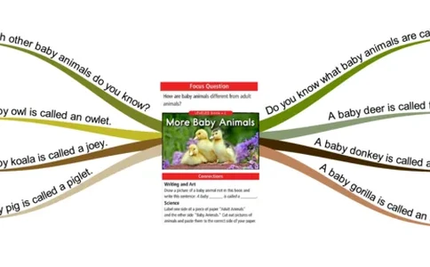 morebabyanimals_《小学思维导图》_思维导图语数英第二套_英语_思维导图_思维导图RAZC