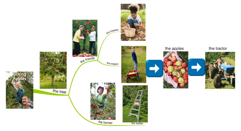 pickingapples_《小学思维导图》_思维导图语数英第二套_英语_思维导图_思维导图RAZAA