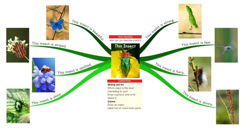 thisinsect_《小学思维导图》_思维导图语数英第二套_英语_思维导图_思维导图RAZA