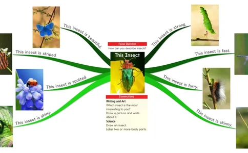 thisinsect_《小学思维导图》_思维导图语数英第二套_英语_思维导图_思维导图RAZA