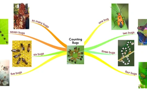 countingbugs_《小学思维导图》_思维导图语数英第二套_英语_思维导图_思维导图RAZAA