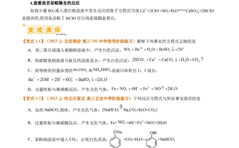题型03离子方程式正误判断离子共存、检验和推断（原卷版）_05高考化学_2024年新高考资料_2.2024二轮复习_2024年高考化学二轮热点题型归纳与变式演练（新高考通用）