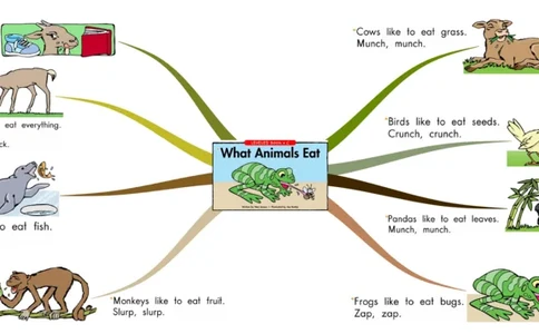 whatanimalseat_《小学思维导图》_思维导图语数英第二套_英语_思维导图_思维导图RAZC