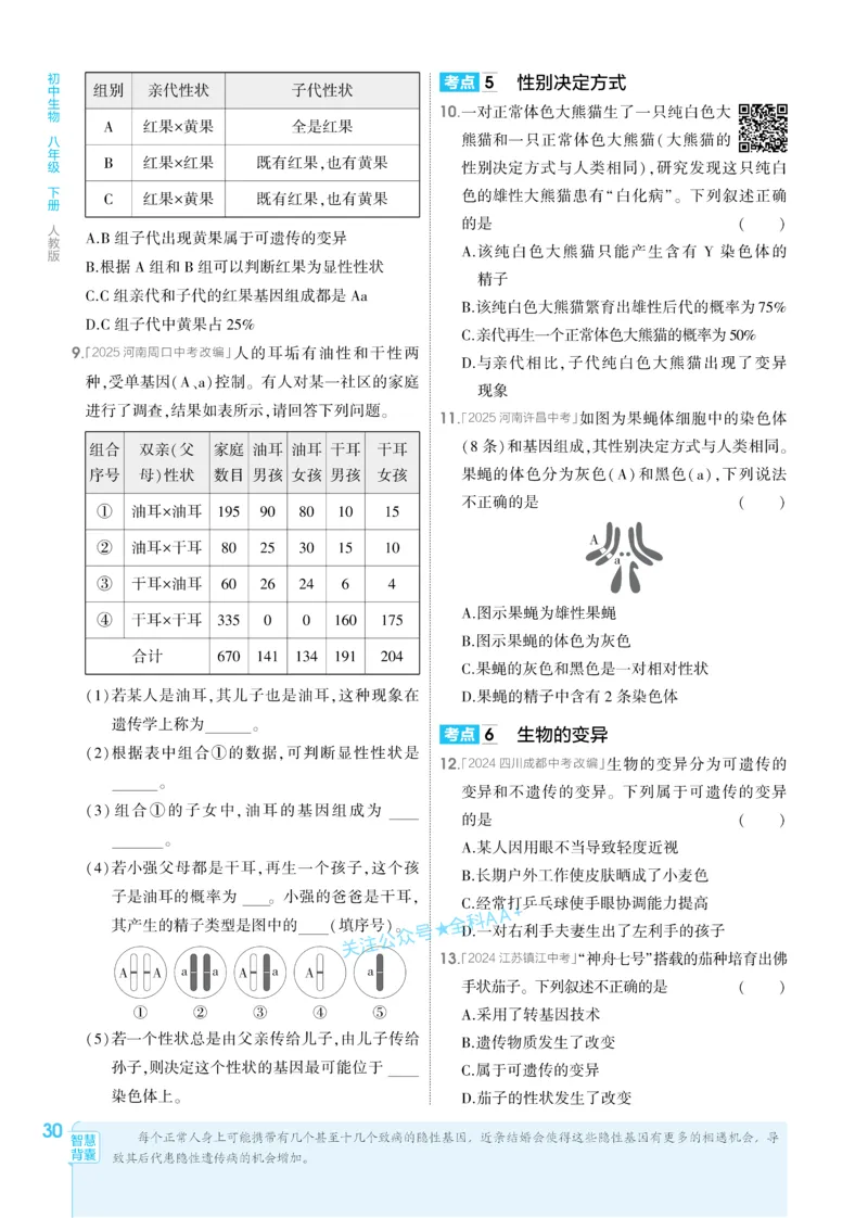 2026《初中生物&bull;53同步练习》八下_2026春《初中一遍过》系列_2026《初中一遍过》8年级下册数学、物理地理生物
