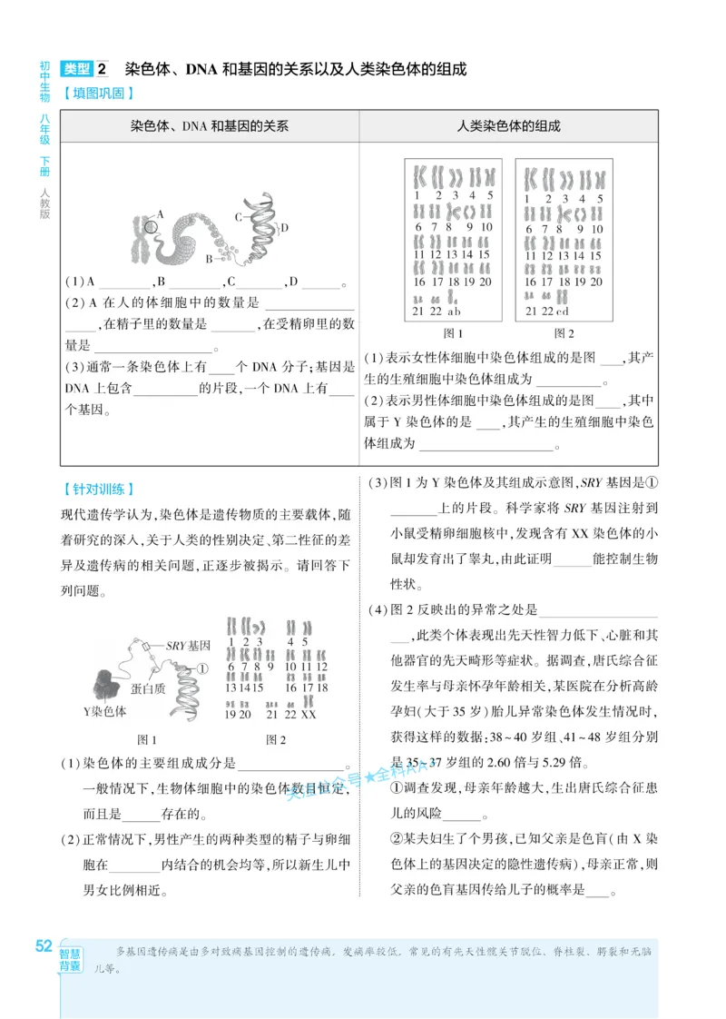 2026《初中生物&bull;53同步练习》八下_2026春《初中一遍过》系列_2026《初中一遍过》8年级下册数学、物理地理生物