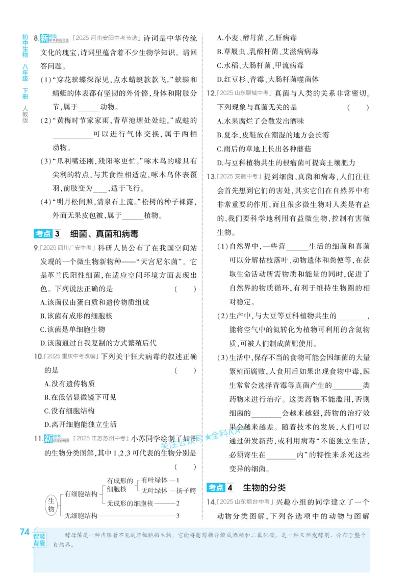 2026《初中生物&bull;53同步练习》八下_2026春《初中一遍过》系列_2026《初中一遍过》8年级下册数学、物理地理生物