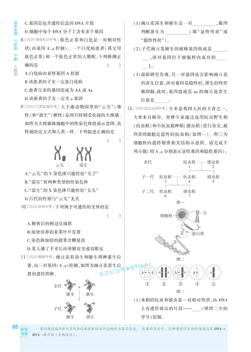2026《初中生物&bull;53同步练习》八下_2026春《初中一遍过》系列_2026《初中一遍过》8年级下册数学、物理地理生物