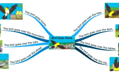 birdgoeshome_《小学思维导图》_思维导图语数英第二套_英语_思维导图_思维导图RAZA