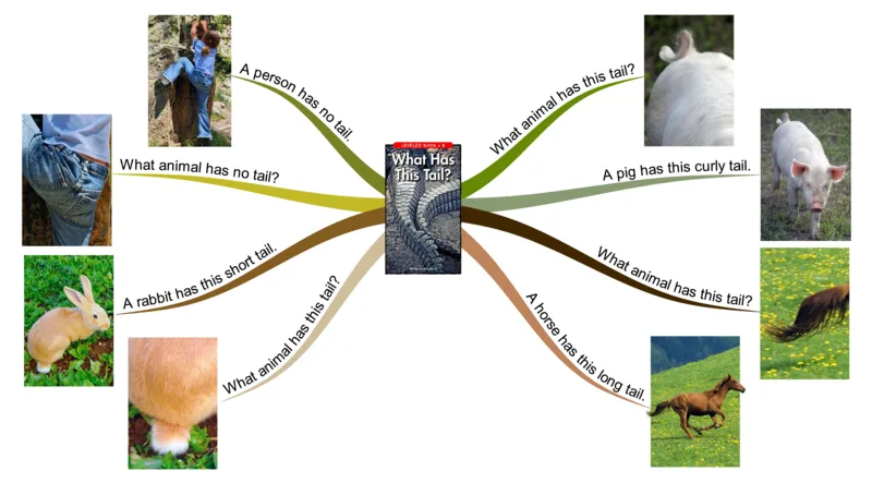 whathasthistail_《小学思维导图》_思维导图语数英第二套_英语_思维导图_思维导图RAZB
