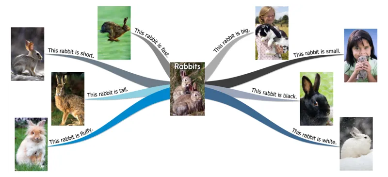 rabbits_《小学思维导图》_思维导图语数英第二套_英语_思维导图_思维导图RAZA
