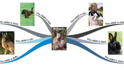 rabbits_《小学思维导图》_思维导图语数英第二套_英语_思维导图_思维导图RAZA
