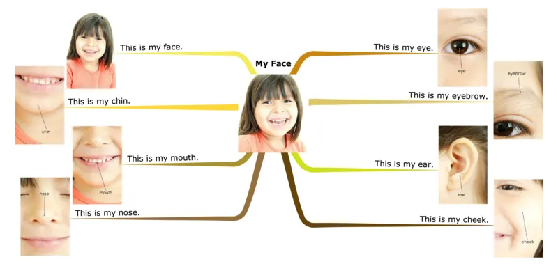 myface_《小学思维导图》_思维导图语数英第二套_英语_思维导图_思维导图RAZA